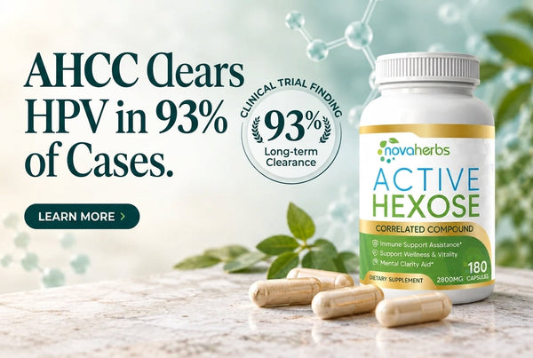 AHCC Clears HPV in 93% of Cases. Here’s How?
