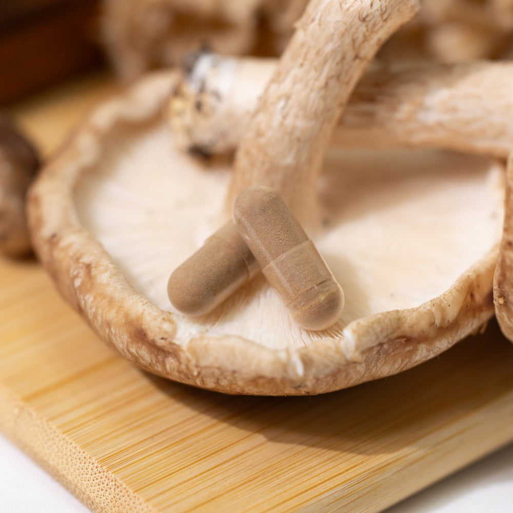 Capsules on a shiitake cap, close up